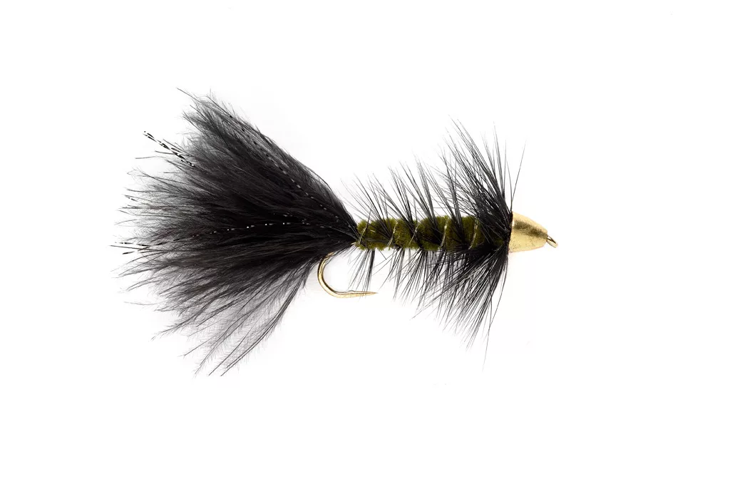 Tungsten Cone Head Woolly Bugger