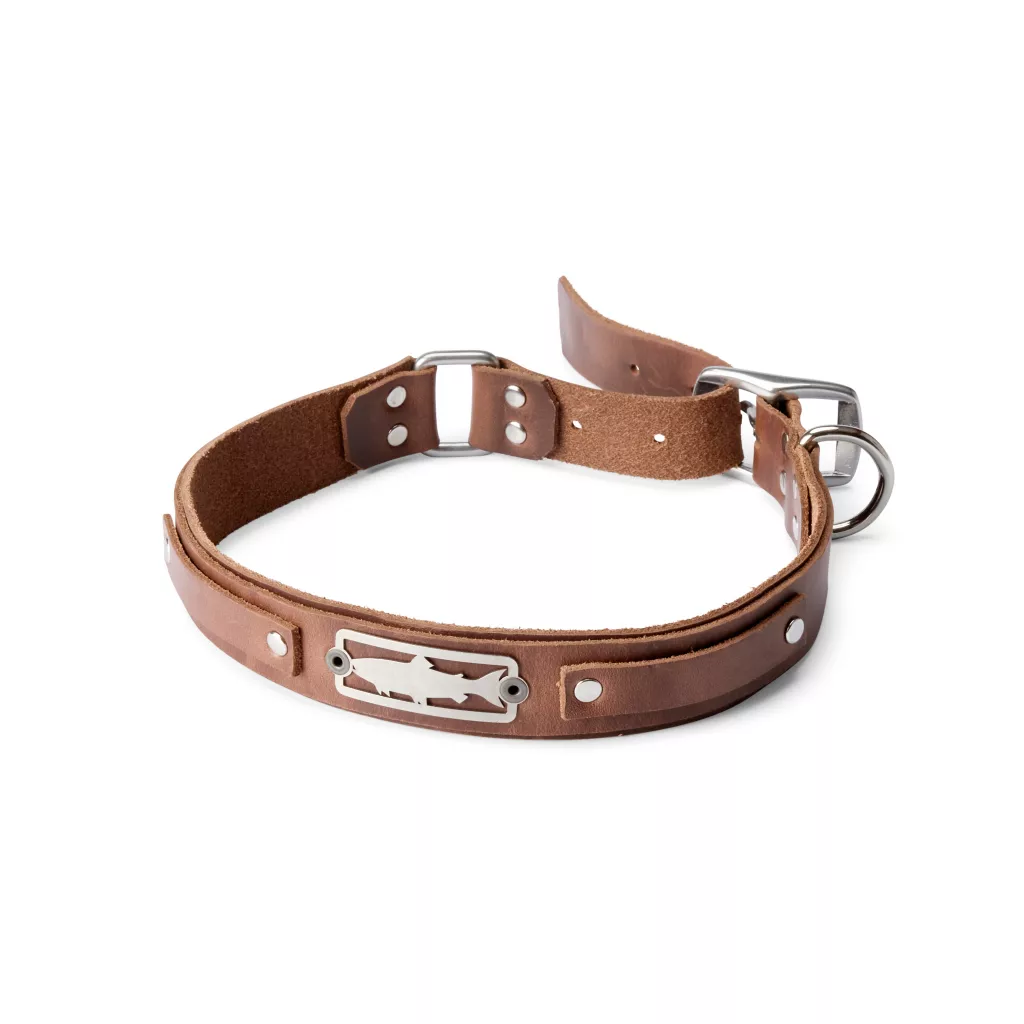 Orvis x Sight Line Provisions Dog Collar