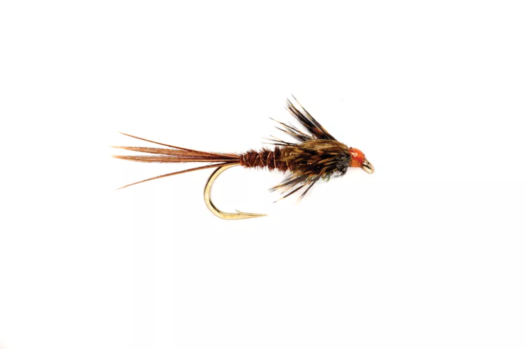 American Pheasant Tail