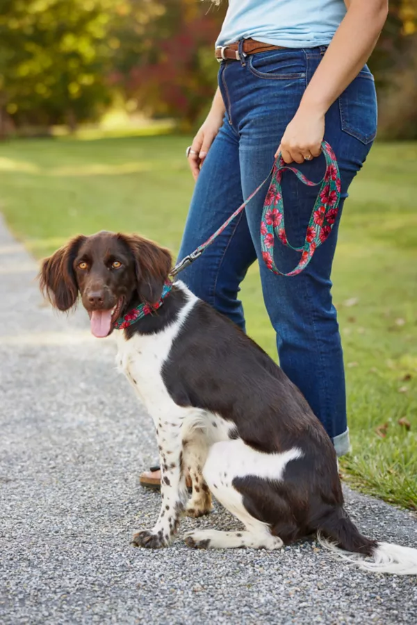 Orvis x Fishe® Wear Leash
