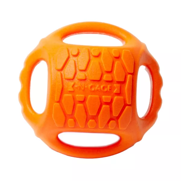 Hydro Handler Dog Toy