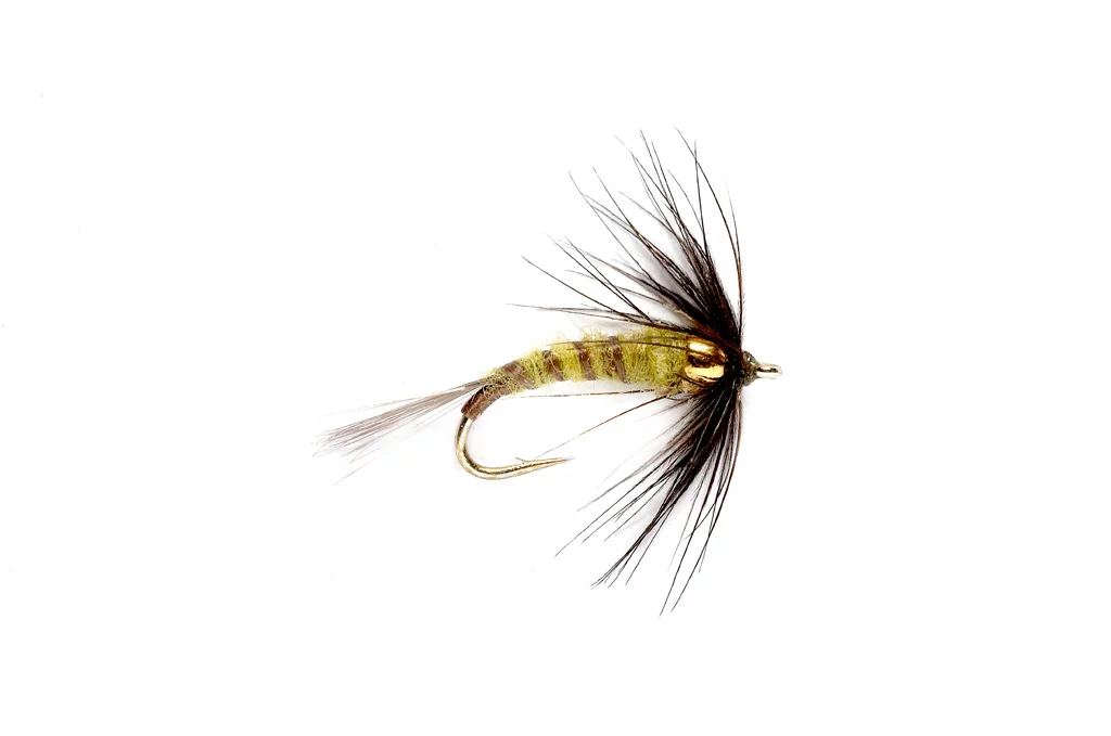 Bead Head Flymph - BWO