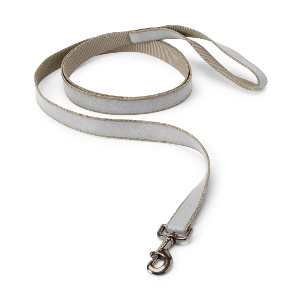 Reflective 6' Leash