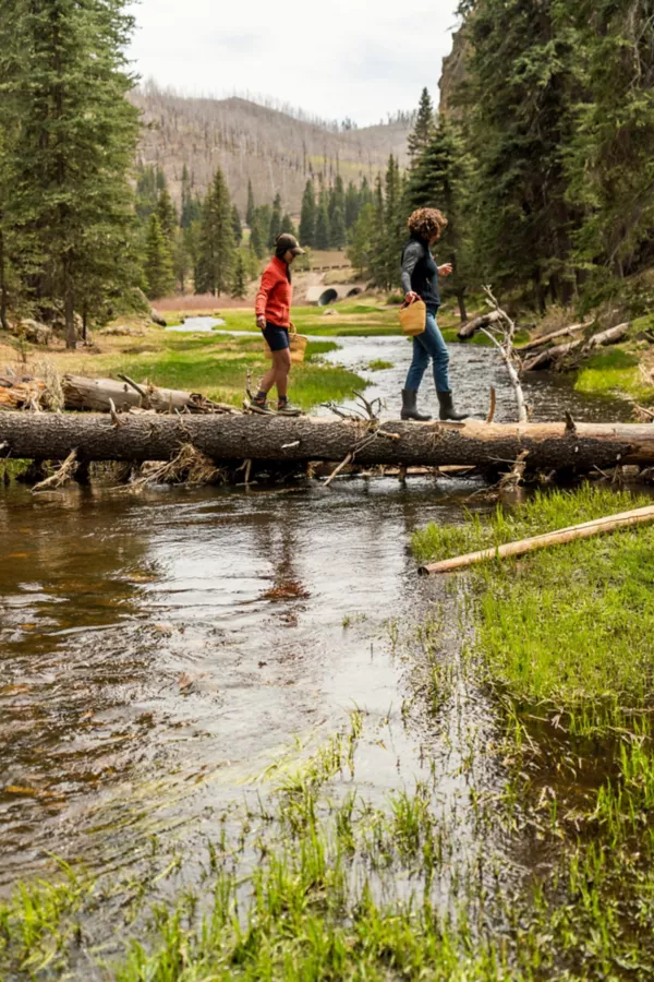 Women's Barbour® Banbury Wellington Boots