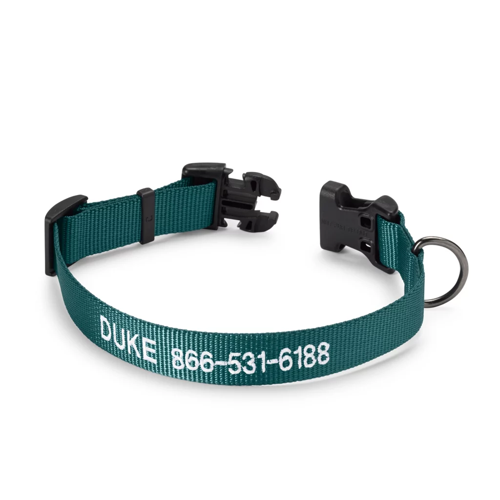 Personalized Side-Release Buckle Collar