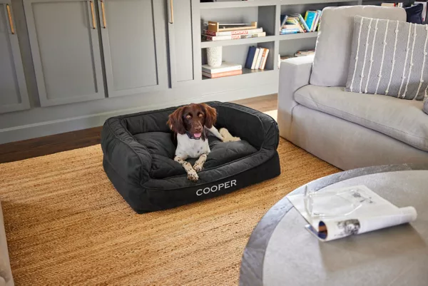 Orvis ComfortFill-Eco™ Couch Dog Bed