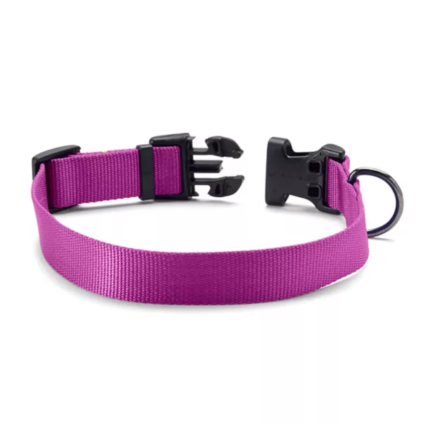 Personalized Side-Release Buckle Collar