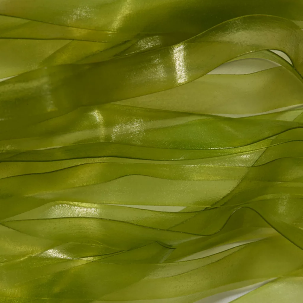 Fulling Mill Scud Skin