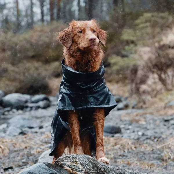 Hurtta Monsoon Dog Coat