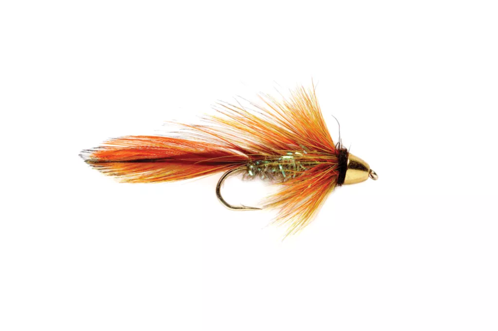 Orange Blossom Special Fly
