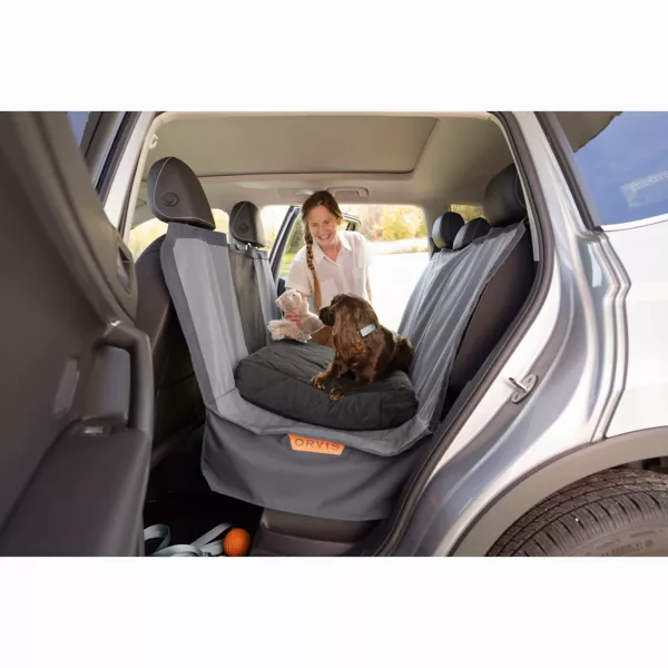 Orvis Memory Foam Couch Dog Bed