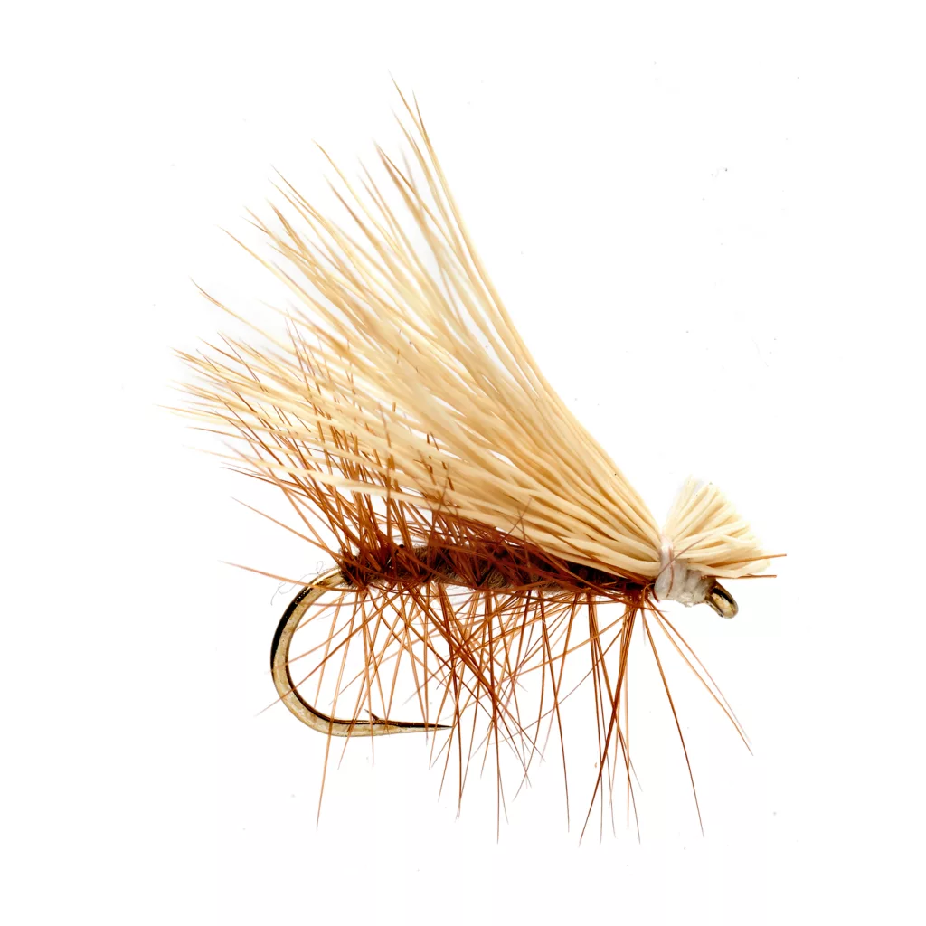 Elk Wing Caddis