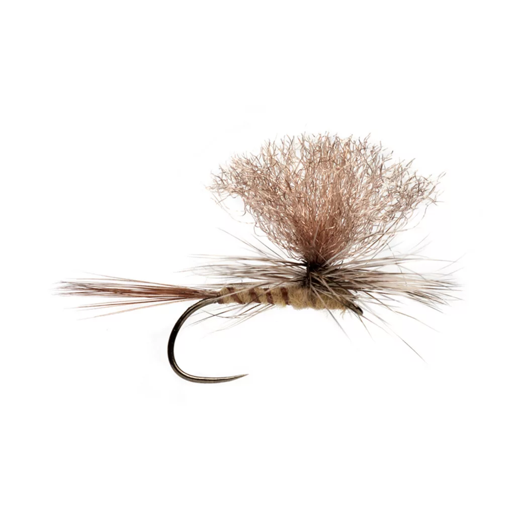 Barbless Tactical Eastern March Brown