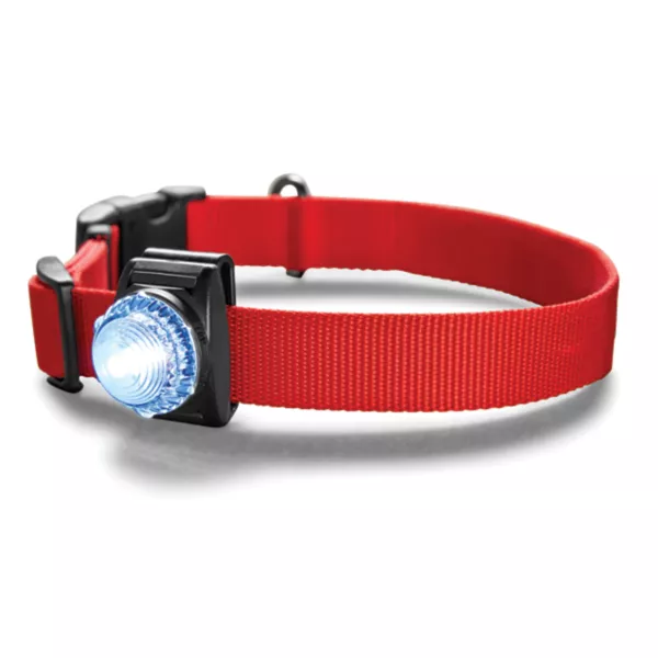 LED Safety Collar Light