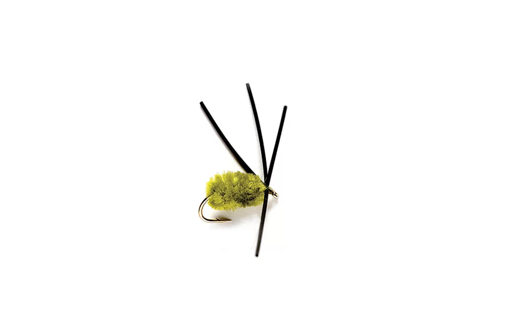 Bully Bluegill Spider
