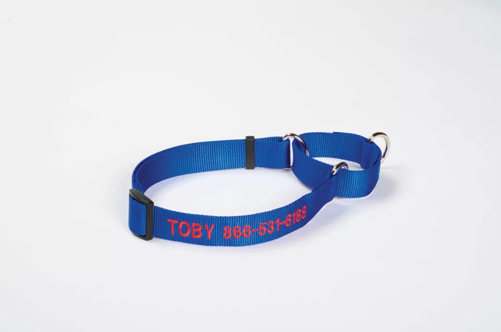 Personalized Martingale No-Pull Collar