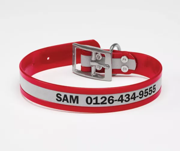 No-Stink Reflective Collar