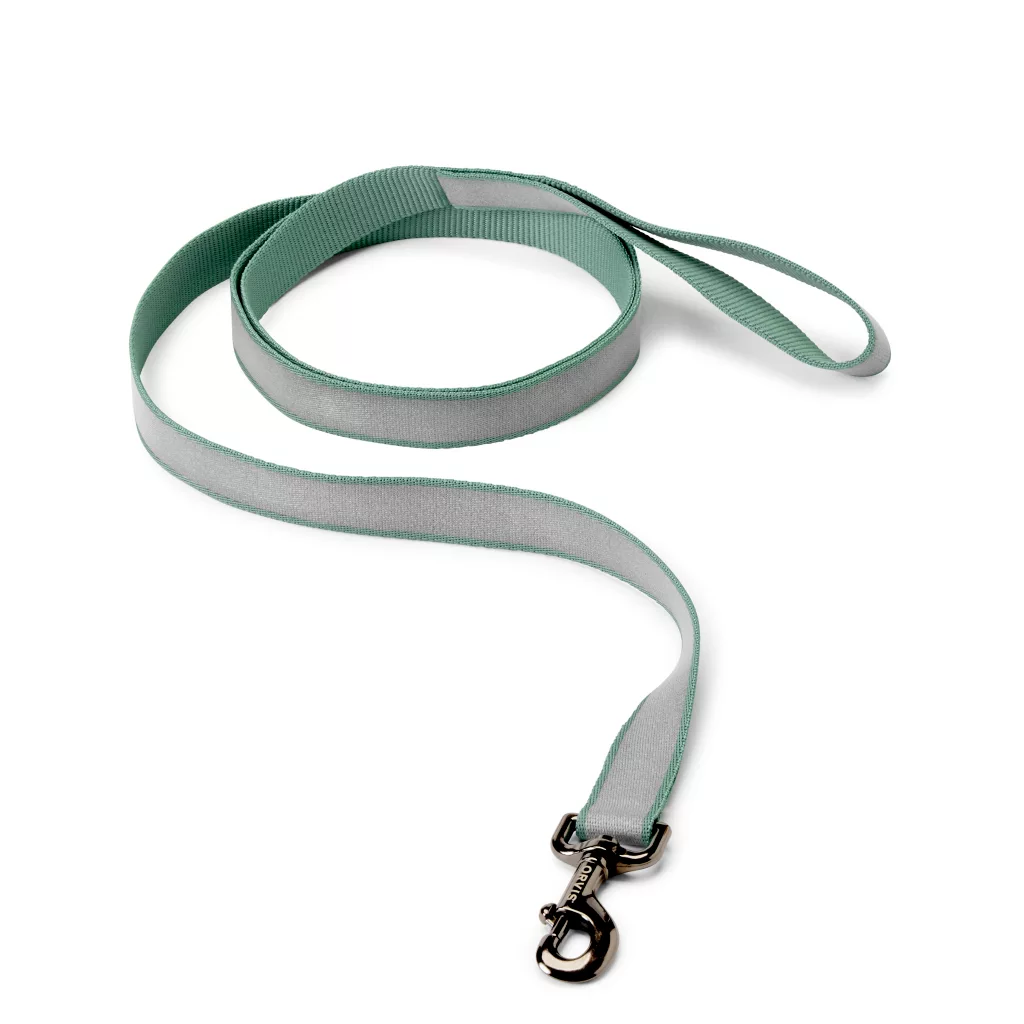 Reflective 6' Leash
