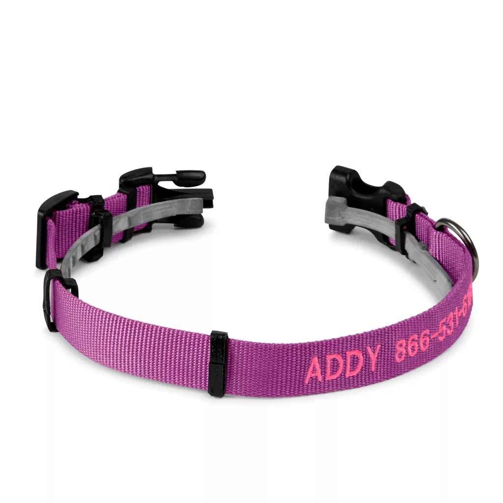 Conceal-a-Collar® Personalized Flea and Tick Collar