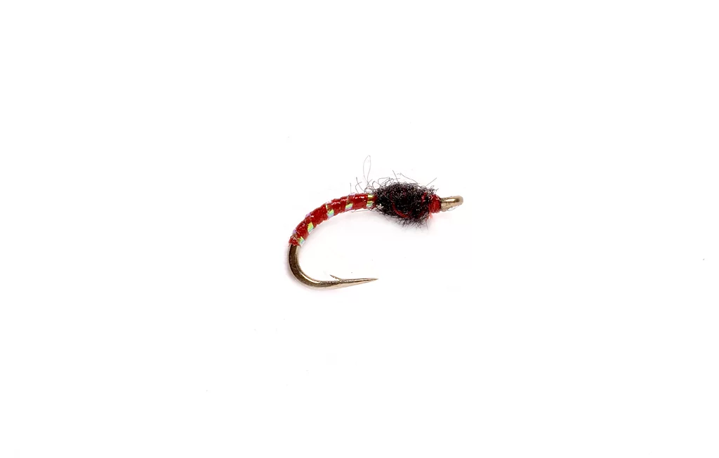 Disco Midge Larva
