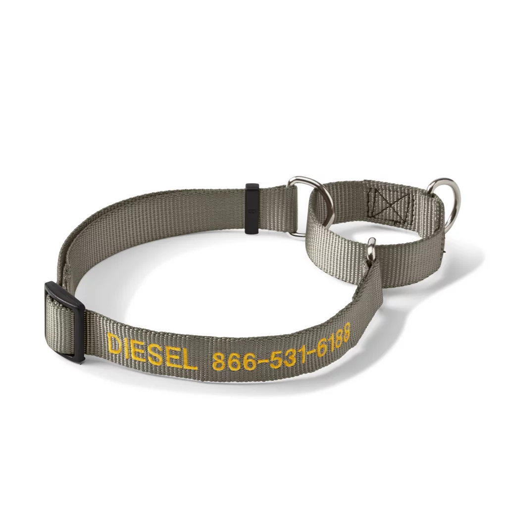 Personalized Martingale No-Pull Collar