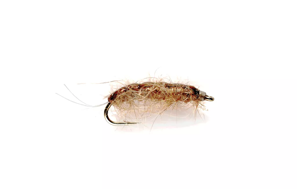 Rouse's J-Dub Sow Bug