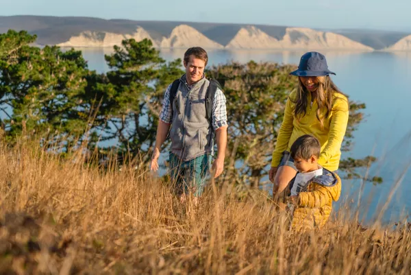 R65 Sweater Fleece Vest