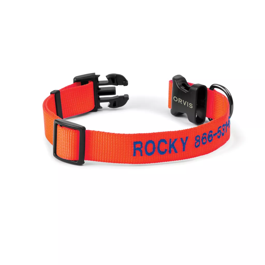 Personalized Side-Release Buckle Collar