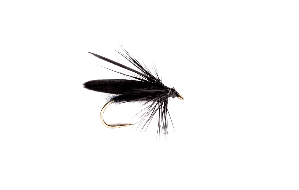 Slow Water Caddis