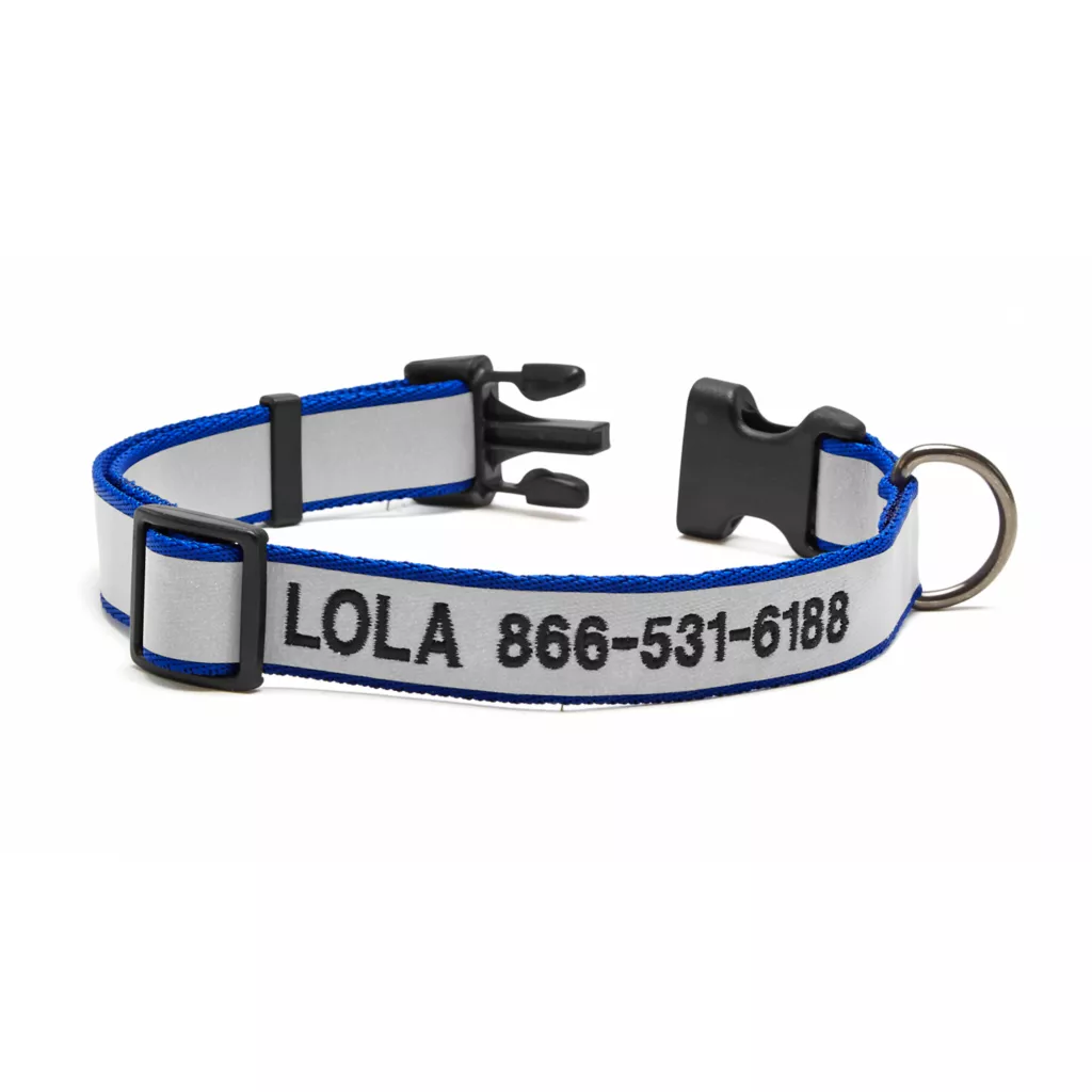 Personalized Reflective Collar