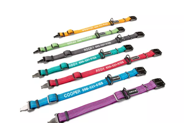 Tough Trail® Dog Collar