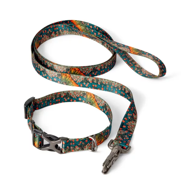 Orvis x Fishe® Wear Collar