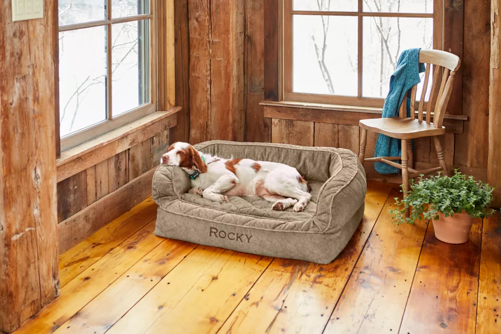 Orvis Memory Foam Couch Dog Bed