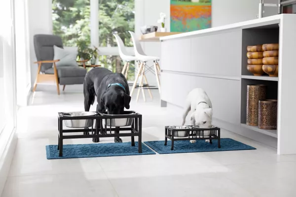 Black Steel Raised Feeder