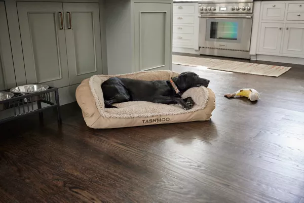 Orvis ComfortFill-Eco™ Bolster Dog Bed with Fleece