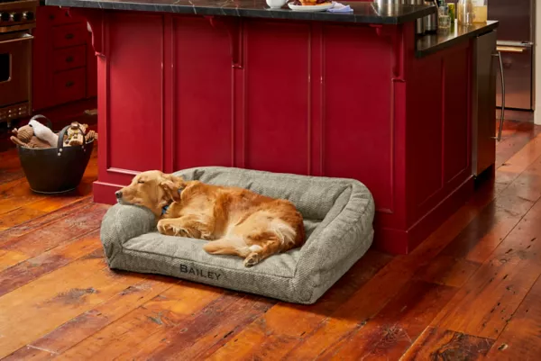ToughChew® ComfortFill-Eco™ Bolster Dog Bed