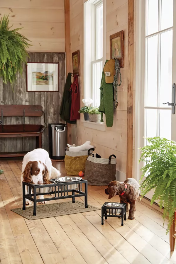 Black Steel Raised Feeder