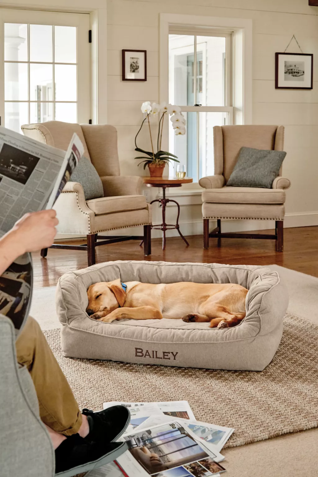 Orvis Memory Foam Couch Dog Bed