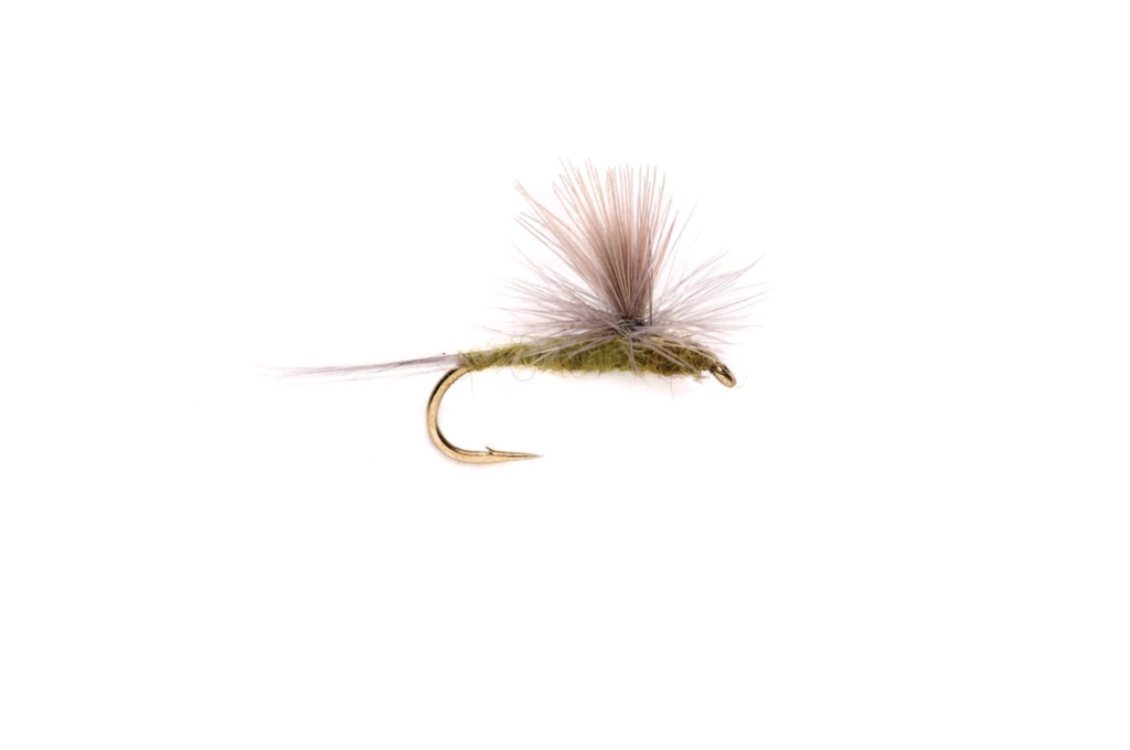 Blue Wing Olive Parachute