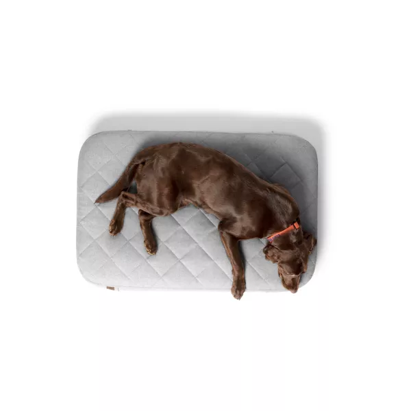 Orvis RecoveryZone® Lounger Dog Bed