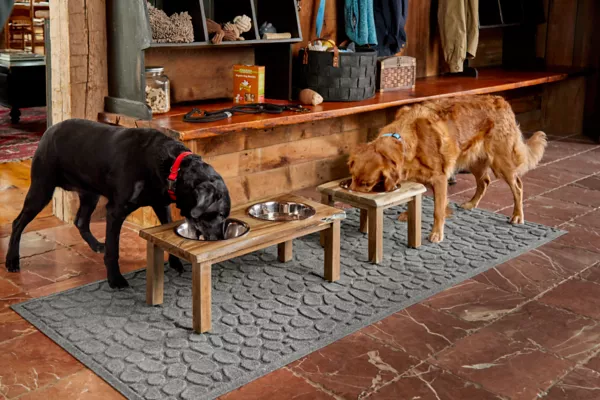Natural Edge Dog Feeder