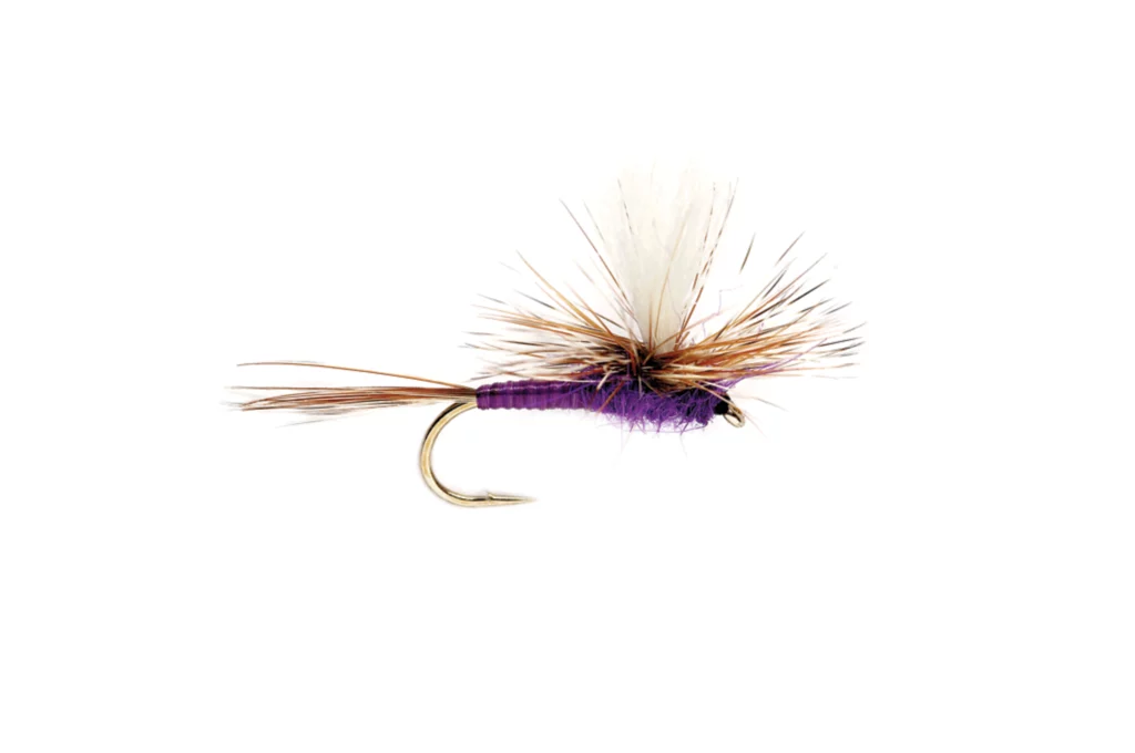 Adam's Purple Parachute