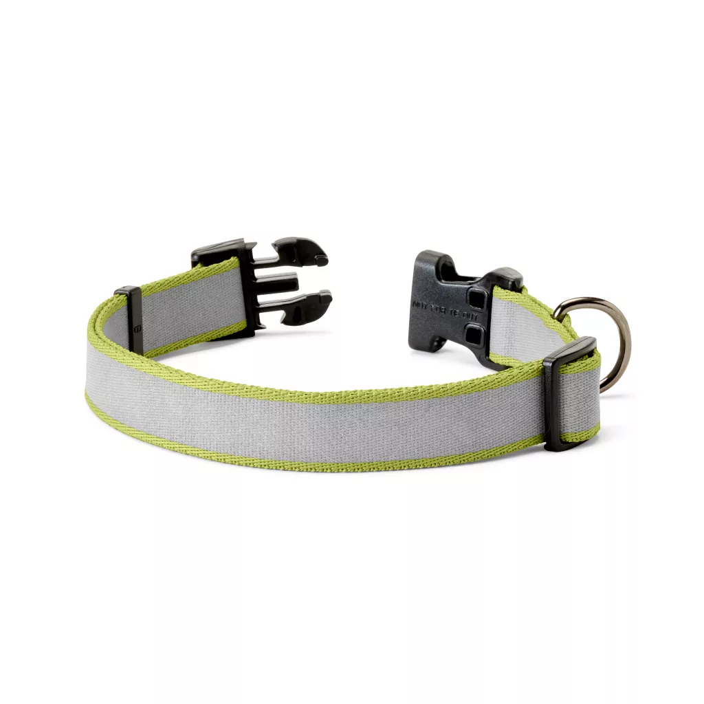 Personalized Reflective Collar