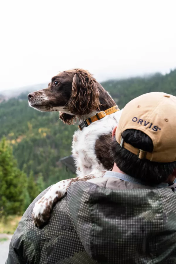 Tough Trail® Dog Collar