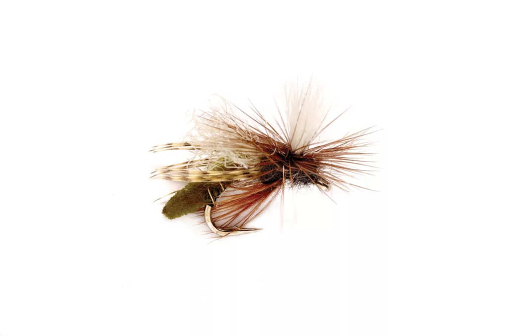Spotlight Caddis Emerger
