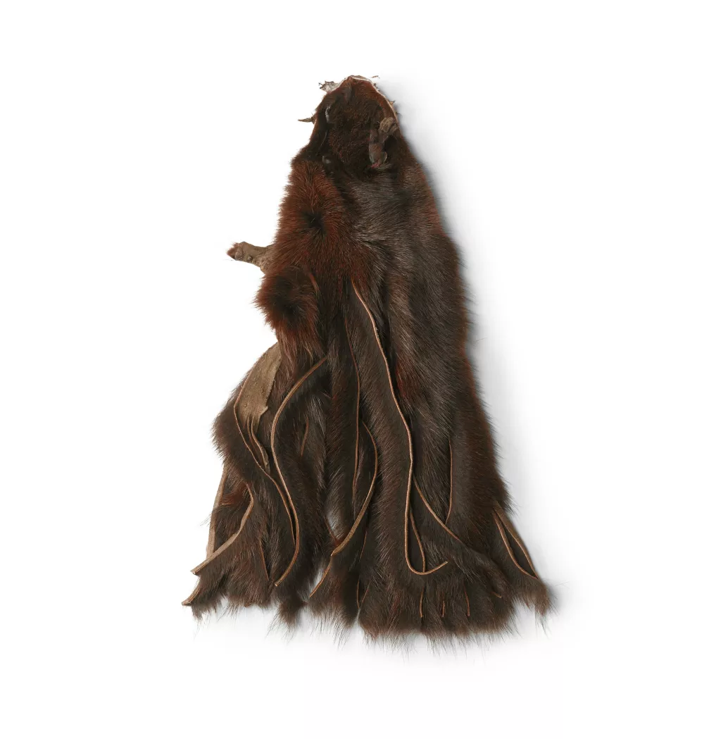 Pine Squirrel Skin Zonkered