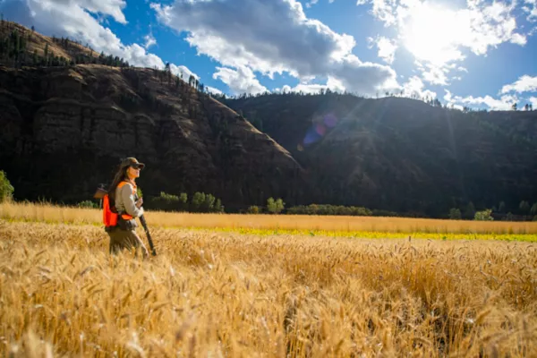 Women's PRO LT Hunting Shirt