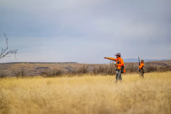 PRO LT Softshell Pullover