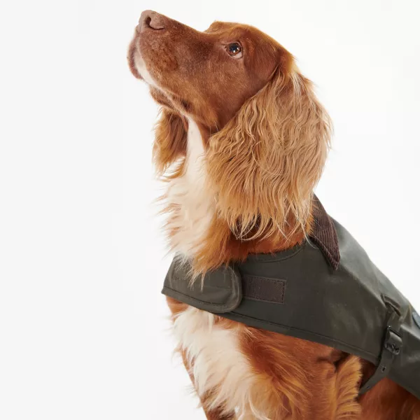 Barbour® Wax Dog Jacket
