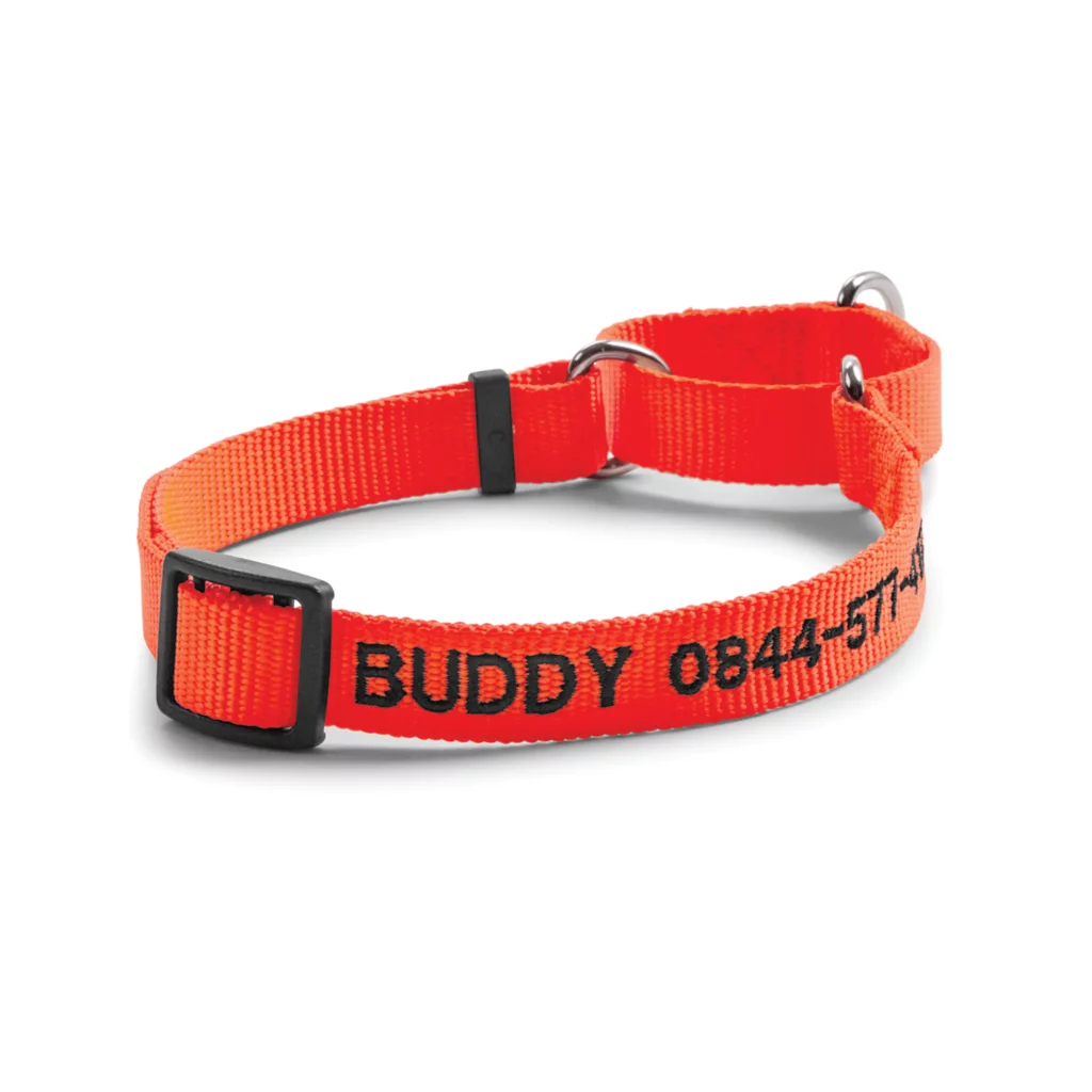 Personalized Martingale No-Pull Collar